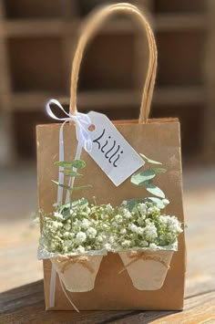 a brown paper bag with two small planters in it and a tag on the handle