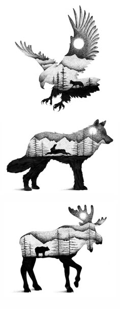 three different types of animals are shown in black and white, each with an animal's tail