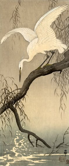 two white birds flying over water next to a branch with leaves and branches on it