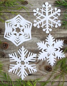 three snowflakes are sitting next to pine cones on a wooden table with evergreen branches