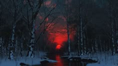 the sun is setting behind some trees in the winter forest with snow on the ground and water running through it