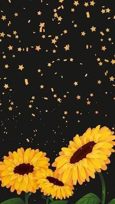 two yellow sunflowers with stars in the background