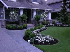 the front yard of a house with landscaping