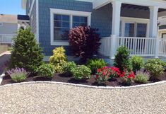 a blue house with flowers and shrubs in front