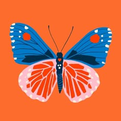 a blue and red butterfly on an orange background