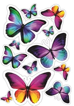 colorful butterflies stickers on a white background