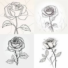 four different types of roses with leaves on the stems and one flower in the middle