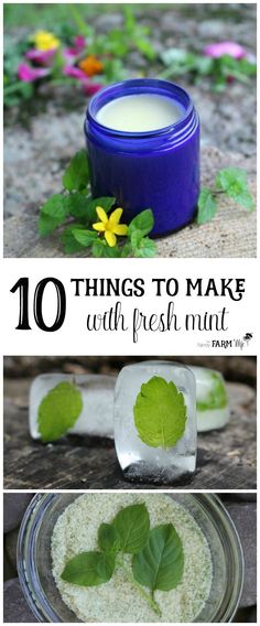 10 Things to Make with Fresh Mint Truck Garden, Stomachache, Alpine Plants, Herbal Recipes, Natural Healing Remedies, Plant Garden, Diy Remedies