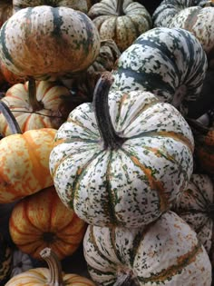 a pile of pumpkins sitting on top of each other