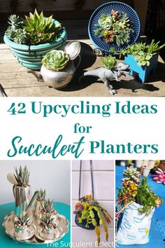 several different types of succulent planters with text overlay reading 42 upcycling ideas for succulent plants