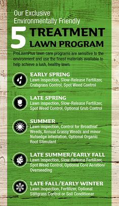 the 5 treatment lawn program flyer