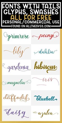 the different font styles and colors for each type of calligraphy