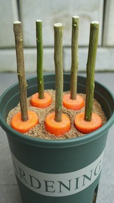 there are carrots that have been placed in the pot with sticks sticking out of them