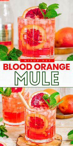 Spice up your parties with this Blood Orange Mule! This best cocktail recipe combines spicy, bubbly blood orange-flavored ginger beer with vodka and fresh mint. Don’t forget the zesty lemon juice—perfect for a refreshing kick! Cocktail Recipes With Rum, Fancy Vodka Cocktails, Orange Color Cocktails, Orange Vodka Cocktails, Simple Vodka Cocktails, Vodka Cocktail, Blood Orange Recipes Drinks, Drinks With Orange Bitters, Blood Orange Ginger Beer Cocktail