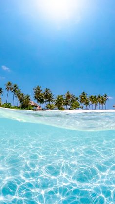 the sun shines brightly on an island with palm trees in the background and clear water