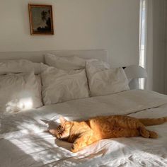 an orange cat laying on top of a white bed in a bedroom next to a window