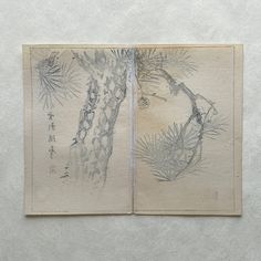 an open book with some drawings on the pages and writing in chinese characters below it