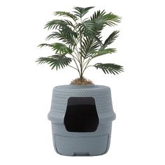 a potted plant is sitting on top of a wicker basket with a black lid