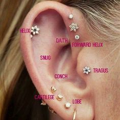 a woman's ear with different piercings and names on the outside of it