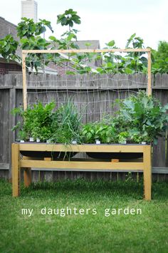 a wooden bench sitting in the middle of a yard filled with lots of green plants