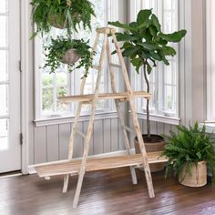 a wooden ladder with plants on it in front of a window