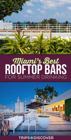 the miami's best rooftop bars for summer drinking - tips and tricks to enjoy