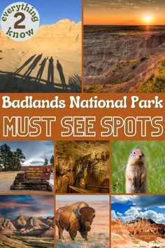 the badlands national park must see spots for wildlife viewing and other things to do