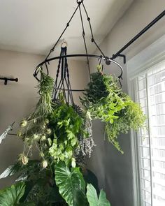 a potted plant is hanging from a metal rod in the corner of a room