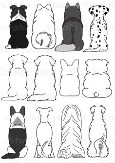 the silhouettes of different dogs and cats are shown in black and white, with one dog