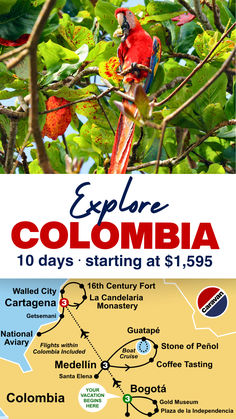 A promotional ad for fully guided tours in Colombia featuring a vibrant red macaw perched on a branch surrounded by lush green foliage. The text highlights 'Explore Colombia: 10 days starting at $1,595.' Below is a map showing the itinerary, including stops in Bogotá, Medellín, and Cartagena, with key attractions such as the Gold Museum, Stone of Peñol, National Aviary, and coffee tasting experiences. Colombia Vacation, Gold Museum, Latin America Travel, Touring Caravan, Colombian Coffee, Boat Cruise, Costa Rica Vacation, Colombia Travel, Walled City