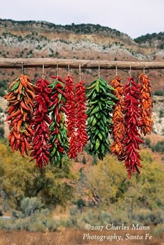 several peppers hanging from a line in the desert