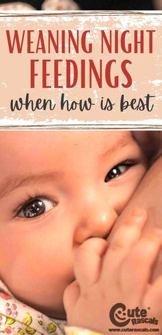 a baby with the words, weaning night feedings when how is best?