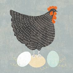 an illustration of a chicken and three eggs