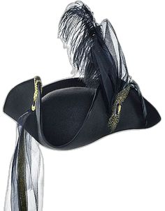 a black hat with feathers on it