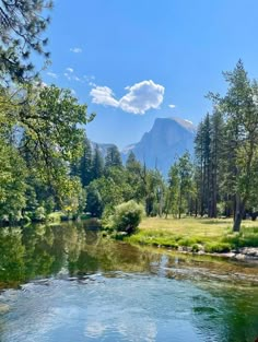 a river running through a forest filled with lots of green grass and trees next to a tall mountain