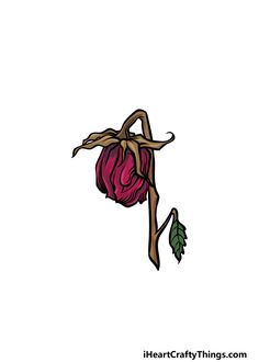 a drawing of a rose bud on a white background