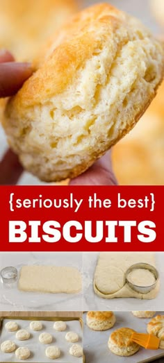 this is an image of biscuits with the words seriously the best biscuits on it