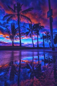 palm trees are reflected in the water at sunset