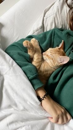 an orange cat laying on top of a woman in green shirt and black bracelets