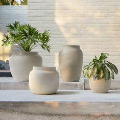 three white vases with plants in them sitting on concrete steps