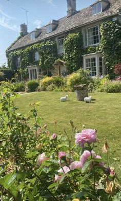 some pink flowers in front of a large house with sheep on the lawn and bushes