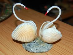 two white swans made out of seashells sitting on a rock in front of a wooden table