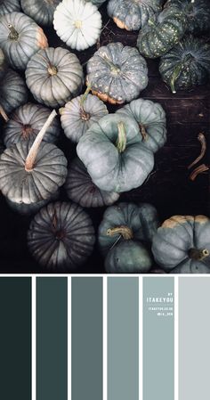 several different shades of gray and white pumpkins