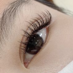 Natural Lashes Asian Eyes, Natural Asian Eyelash Extensions, Eyelash Claim, Hybrid Lash Extensions Asian Eyes, Classic Lash Extensions Asian Eyes, Lash Extensions Styles Asian Eyes, Asian Eye Lash Extensions, Feline Eyes Natural, Lashes On Asian Eyes