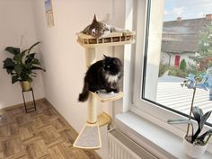 A scratching post and a bed are a great solution for cats who like to look out the window and sleep. 📢ATTENTION!! The location of this shelf to the LEFT of the window!! The set includes: 1. Adjustable shelf with a pillow - 1 pc. length - 19.3" (48 cm) width - 11.0" (28 cm) 2. Sisal scratching post - 2 section. height - 28" (72 cm) ❓The same cat tree but with shelf positioned for RIGHT side of the window at the link: https://www.etsy.com/listing/1444454321/cat-shelves-wall-furniture-cat-wand-cat?click_key=5676a9971c38c35ca8b605b01692dab3715ce1a9%3A1444454321&click_sum=47c1fbe1&ref=shop_home_active_7&pro=1&frs=1&sts=1 🔍All elements of the set are very reliable and environmentally friendly. We use birch plywood impregnated with environmentally friendly oil and sisal rope as natural material Cat Window Perch, Wall Tree, Window Perch, Cat Wall Shelves, Cat Wall Furniture, Window Shelves, Tree Furniture, Cats Furniture, Cat Perch