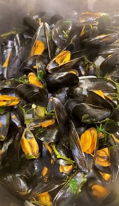 mussels are being cooked in a pan on the stove