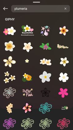 an iphone screen with flowers on it and the text, flower stickers are in different colors