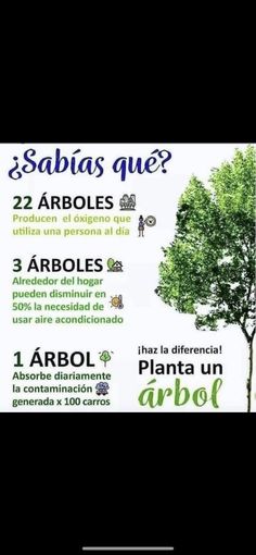 a tree with the words sabias que in spanish