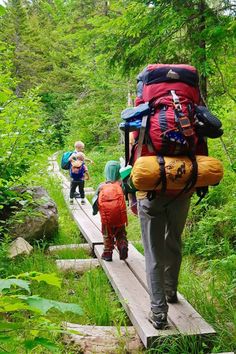 three people with backpacks walking across a wooden bridge in the middle of a forest