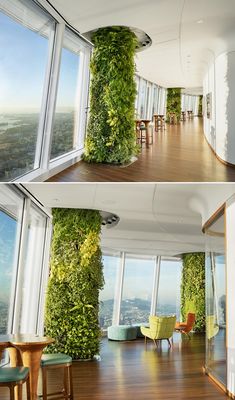 the inside of a building with plants growing on it